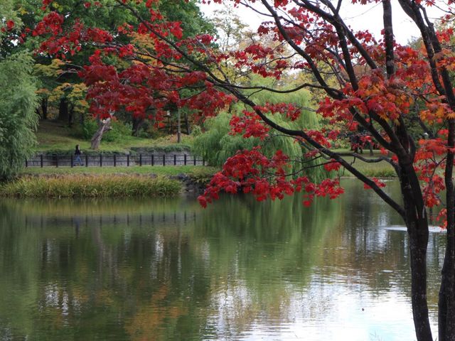 �Â��Ȍ���_��������