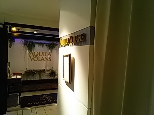 zeʂ炸g@֗_ANC EHX AQUILA VOLANS _CClbgzel