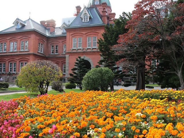 �ԃ����K����_�k�C�������{����(�Ԃ�񂪒���)