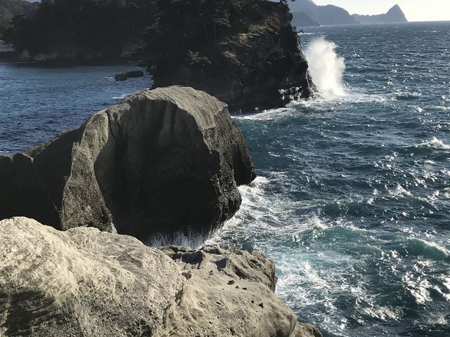 ���g�������ĊC���r��Ă܂���_���P���V����