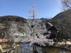 g[}X̃JtFEXg@EJcH[lւ̓eʐ^1