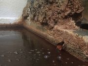 ܂Ƃ񂿂񂳂̎c̓eʐ^2