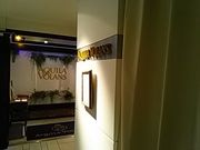 ݂̃ANC EHX AQUILA VOLANS _CClbgzel̓eʐ^1