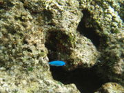 ݂΂񂳂̋gC݂̓eʐ^1