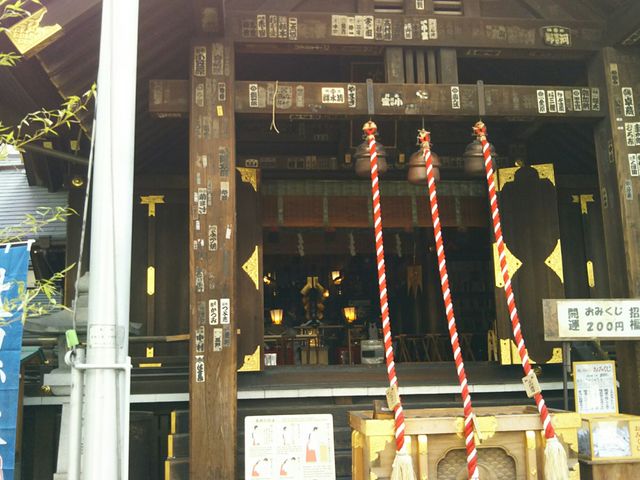 �{�a_�z�n�E�g���_��