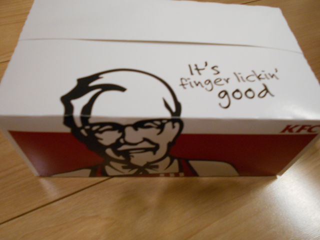 񂳂̃P^bL[tCh`LWXRX̓eʐ^1