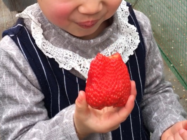 ���N�̍g�ق��؂��p�N���B4�΂̎q���́A�Ԃ����̍����炨���b�ɂȂ��Ă܂��B_�O�����������ّO�c