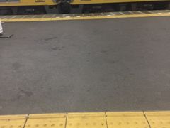 Kuda12����̐����S�������w�ւ̓��e�ʐ^1