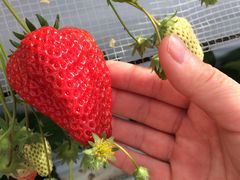 悿̏㗢&g}gւ̓eʐ^1