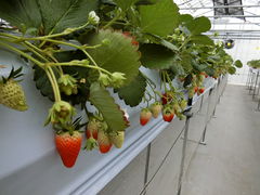 maplê܂t[ct@[ւ̓eʐ^1