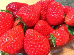 ܂낳̏㗢&g}gւ̓eʐ^1