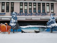 n̍Y@T[t@Ng[ւ̓eʐ^1