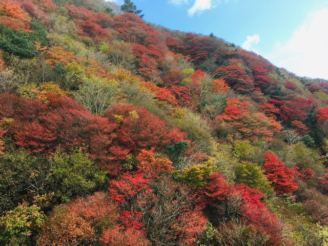 �g�t_�_�働�[�v�E�F�C