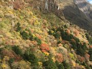 poporon̕x̍gtт̓eʐ^3