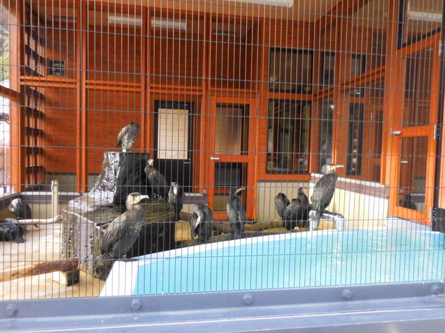 LOTTY̋ёы̉L̓eʐ^3