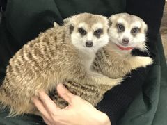 `̂ӂ鉮@Jnւ̓eʐ^3