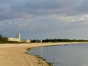 ÐhF̋vēC[tr[`ze̓eʐ^4