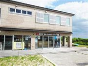 ÐhF̋vēC[tr[`ze̓eʐ^6