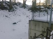 L^J̎R`OmېՂ̓eʐ^4