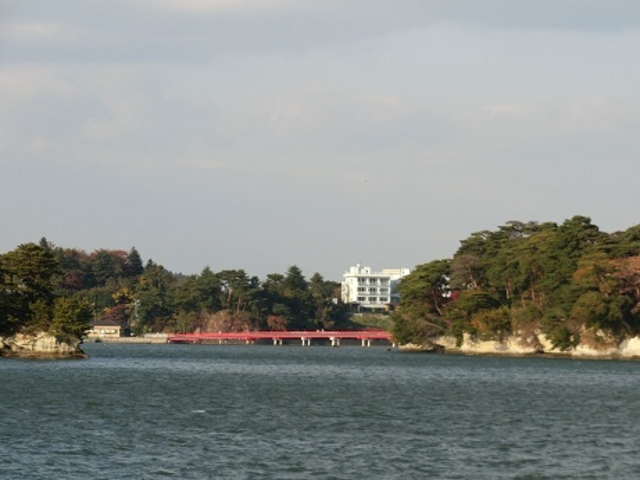 �����p�@_�����p�ό��D�D�������