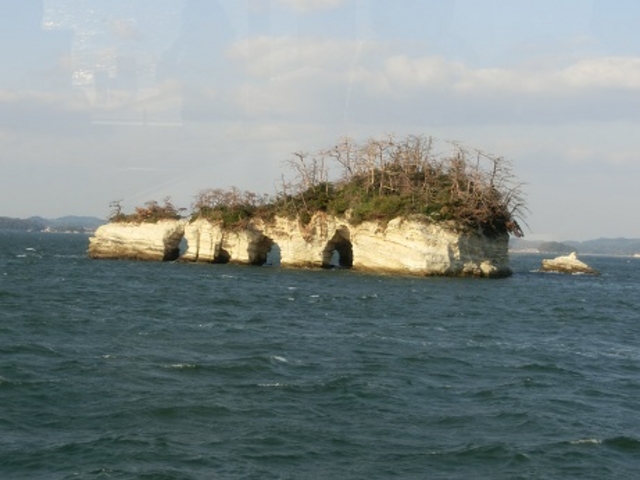 �����p�A_�����p�ό��D�D�������