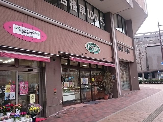 ܂܂̃P[LM[ GXv̓eʐ^1