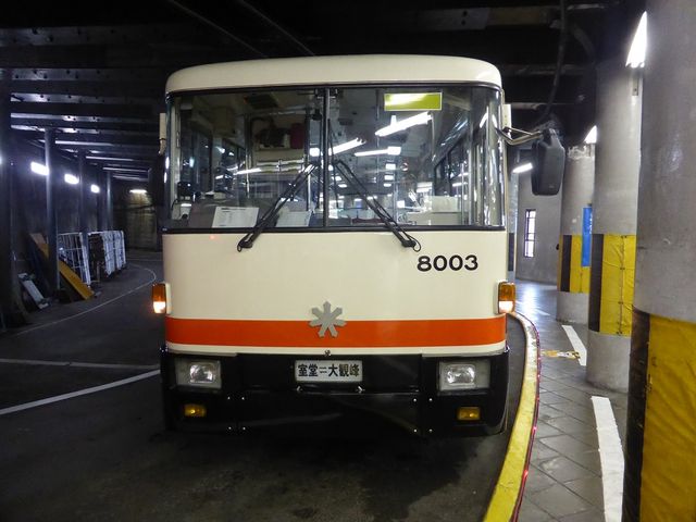 ��ϕ�w��_���R�g���l���g�����[�o�X