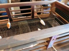 ɂǂ񂳂̏g{܂ւ̓eʐ^1