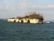 ɂǂ񂳂̏pόDDЂ̓eʐ^3