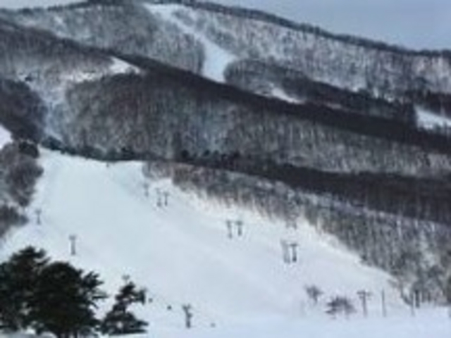 ���������X�L�[��_���������X�L�[��