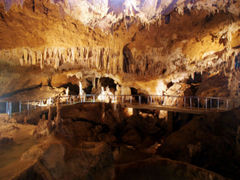 ˂̐Ί_ߓւ̓eʐ^1