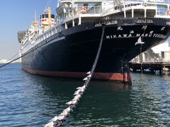 肿̓{XDXۂւ̓eʐ^1