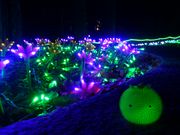 ̂肳̃O̐XAO̊ق̓eʐ^1