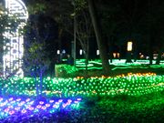 ̂肳̃O̐XAO̊ق̓eʐ^2