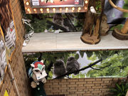 񂳂̍K̃tNEJtFchouette(VGbg)̓eʐ^1