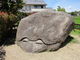 yotawanさんの亀石（奈良県明日香村）の投稿写真1
