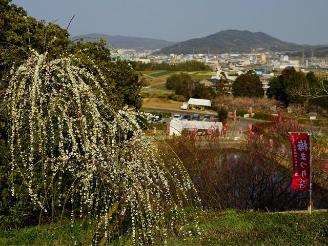 �~�т̏ォ��F�{�s�X�������܂��B_�L�c�~�тӂꂠ������