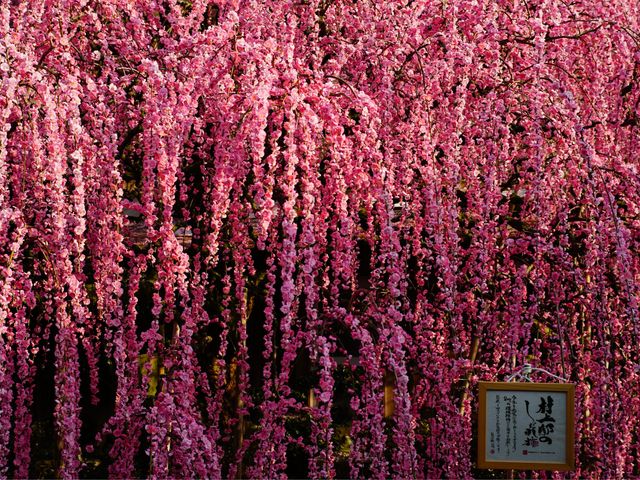 ������́A����@�̎}����~�ł��B_�L�c�~�тӂꂠ������