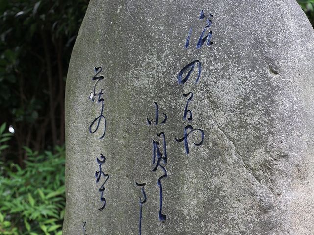 Yanwenli����̔m�ԋ��i�F�P�l�j�̓��e�ʐ^5