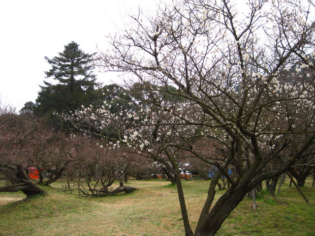 micky7777����̓���V�_�痴�~�̓��e�ʐ^1