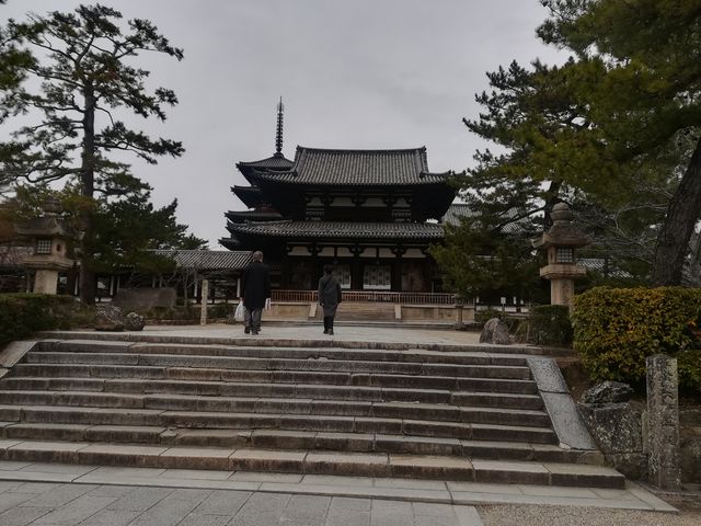 �@����_�ޗǔ����c�[���Y��Waikaru