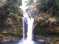 �˂�����񂳂�̎����̑�ւ̓��e�ʐ^1