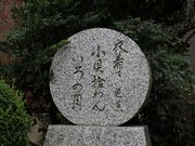 Yanwenli����̔m�ԋ��i�F�P�l�j�̓��e�ʐ^4