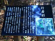 ˂񂳂̏Ό̍sҐ̓eʐ^4