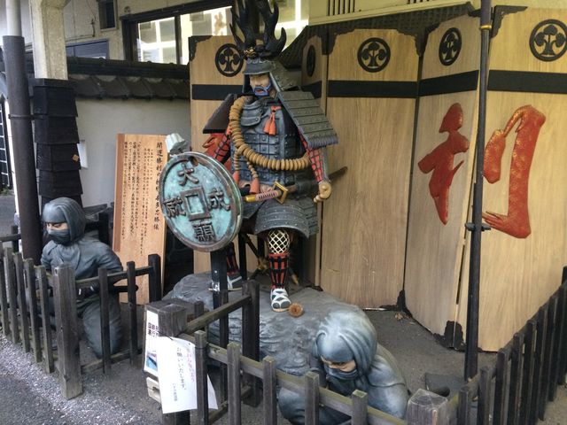 �\���ɂ̓C�J�c�C����_�����ݓS��