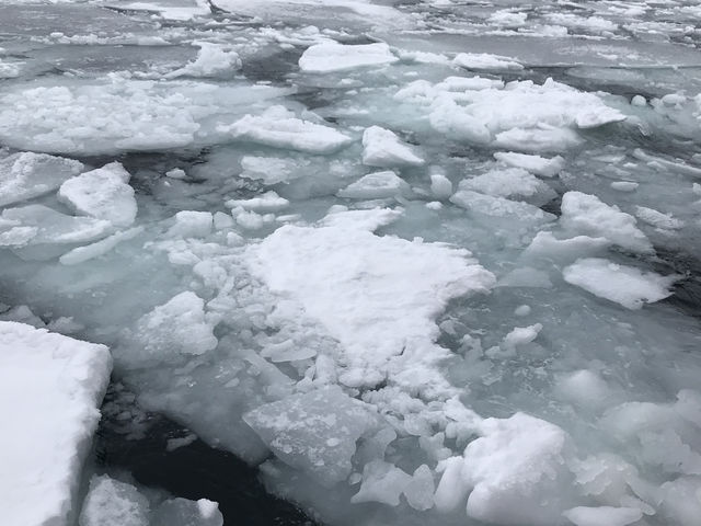 2���͊C�𖄂ߐs�����قǂ̗��X�ł�_�I�z�[�c�N�C�̗��X