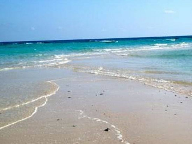 �L���C�ł�_�n�e�̕l