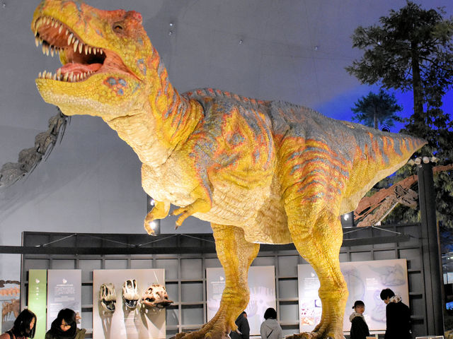 恐竜博物館内部_福井県立恐竜博物館