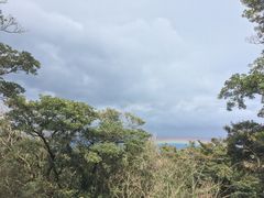 ���イ����̉��v�����R�ē��ւ̓��e�ʐ^1