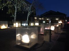 JgQ̂݂̒ւ̓eʐ^1